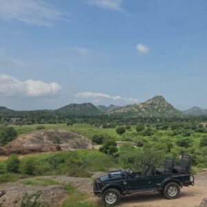 sunrise & sunset leopard safari combo