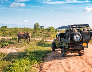 untitled design (48)