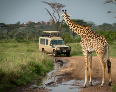 untitled design (49)